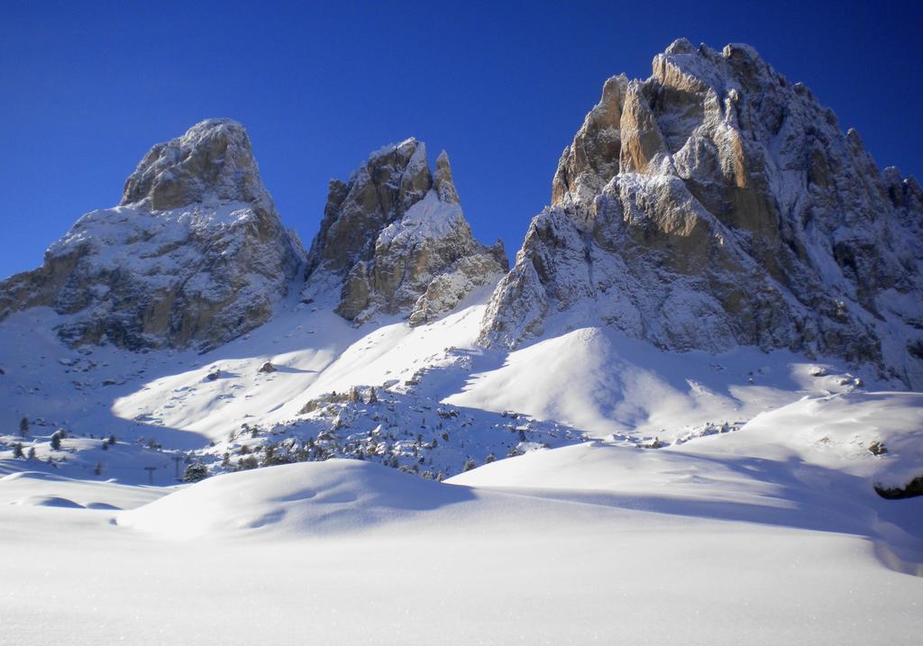 Residence Villa Artic Campitello di Fassa Dış mekan fotoğraf